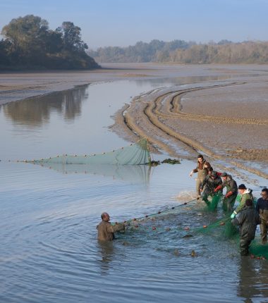 Pays d’art et d’histoire