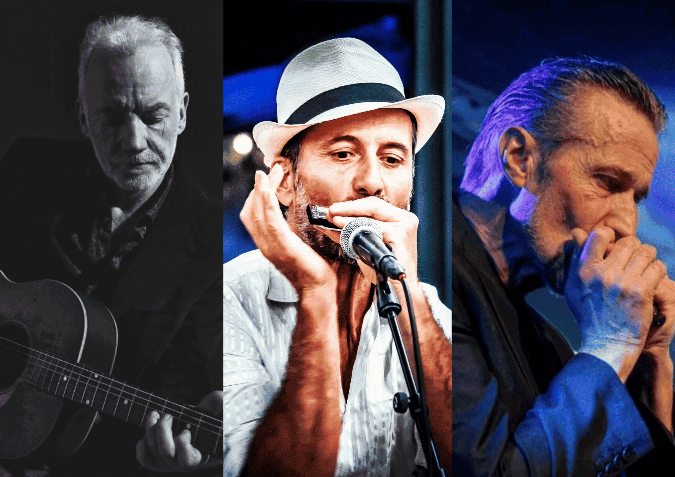 L’harmonica blues, naissance et influences