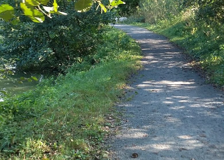 Balade à gyropode en Dombes