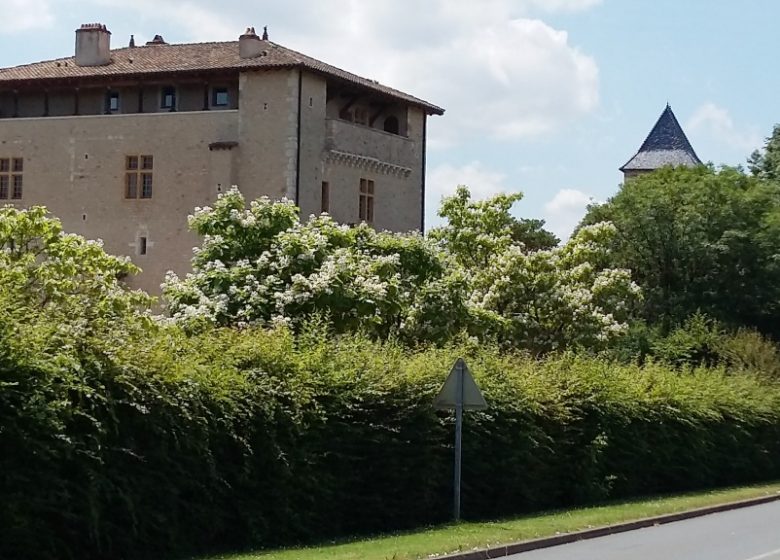 Balade à gyropode Château de Saint Bernard