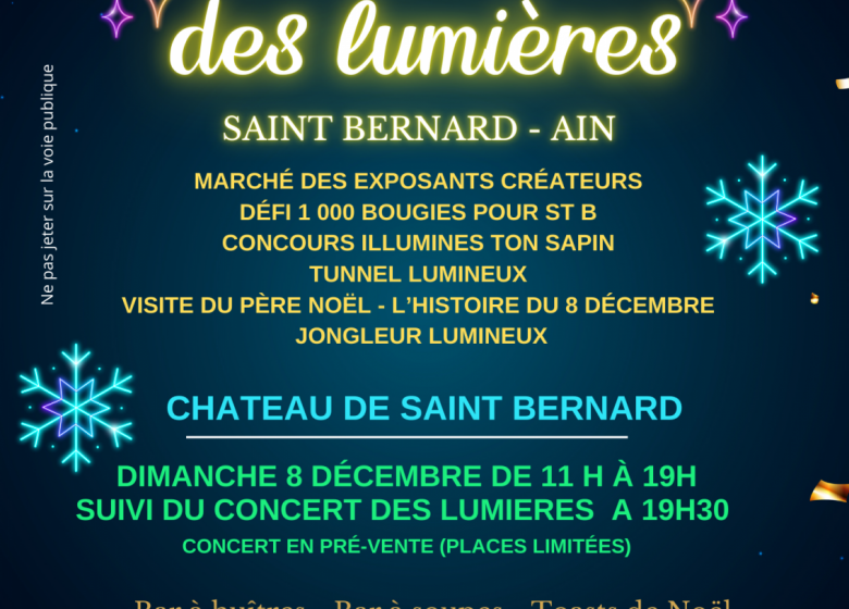 Marché de Noël des Lumières