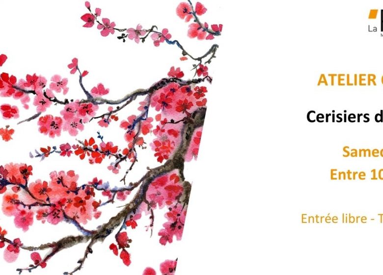 Cerisiers du Japon