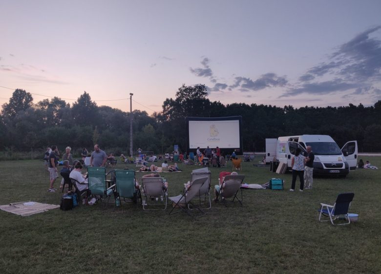 Cinéma en plein air : Migration