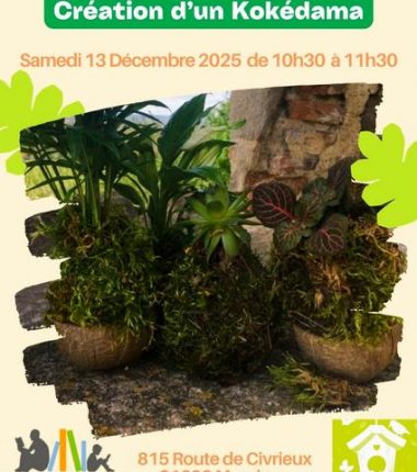 Atelier Kokédama à la Bibliothèque de Massieux