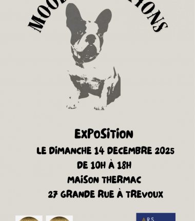 EXPOSITION MOODS CREATIONS
