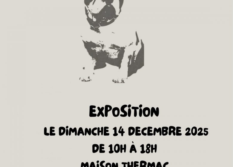 EXPOSITION MOODS CREATIONS