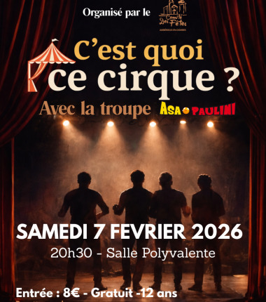 Théâtre d&rsquo;improvisation : C&rsquo;est quoi ce cirque ?