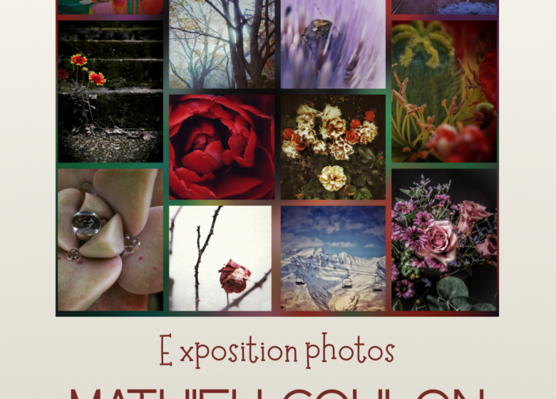 Exposition photos