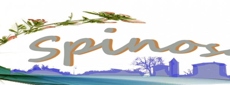 Association « Spinosa »