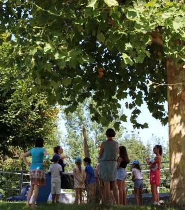 Visite guidée de la Maison Eclusière