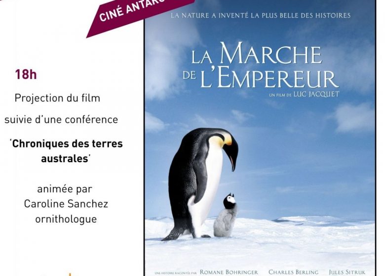 Ciné Antarctique