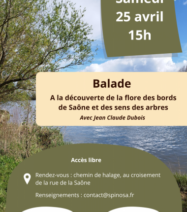 Balade botanique en bords de Saône
