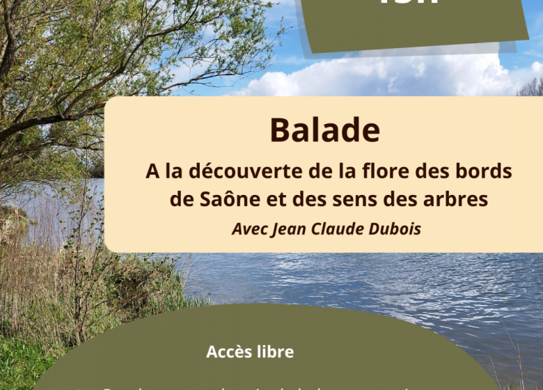 Balade botanique en bords de Saône
