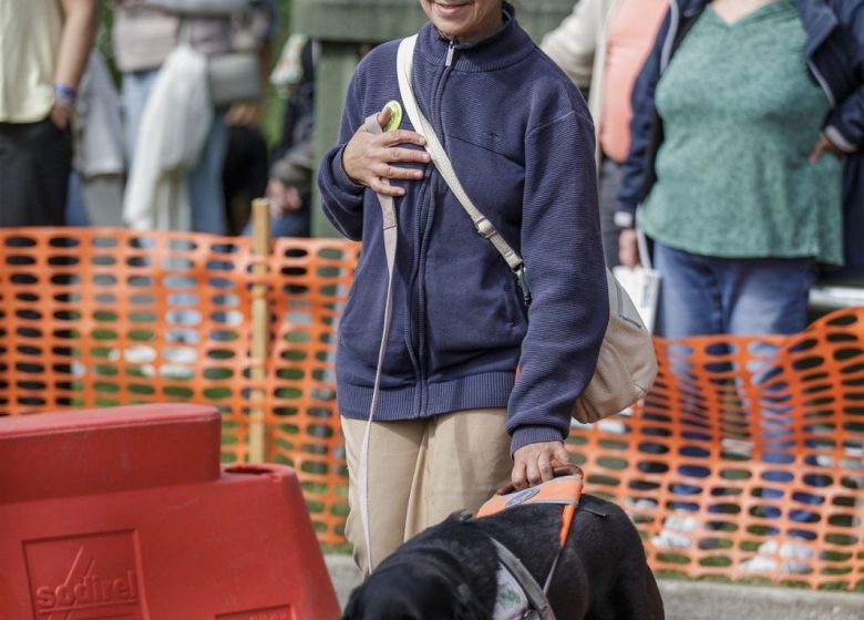 La journée des chiens guides