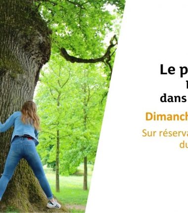 Le parc à l’envers !