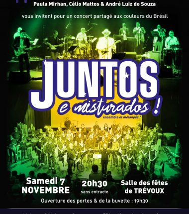 Juntos e misturados ! Musique brésilienne