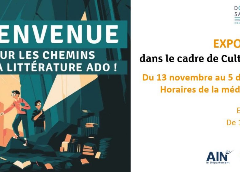 Sur les chemins de la littérature ado